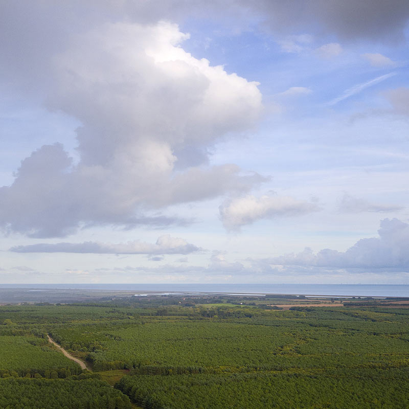 Aerial photograph of a UK coastal forest