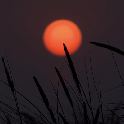 Aerial photo of sunset on a summer wheat field